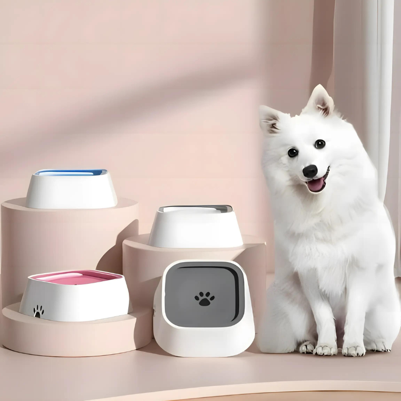 NoSplash - Splashproof bowl for cats and dogs