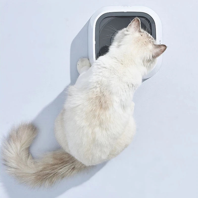 NoSplash - Splashproof bowl for cats and dogs